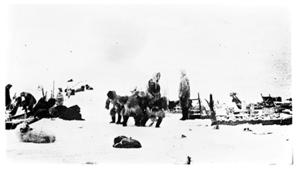 Image of Eight teams at rest. Many snowshoes
